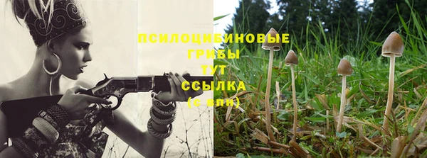прущая мука Богородицк