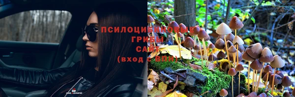 эйфоретик Белоозёрский