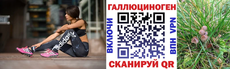где найти наркотики  Армавир  Псилоцибиновые грибы мицелий 